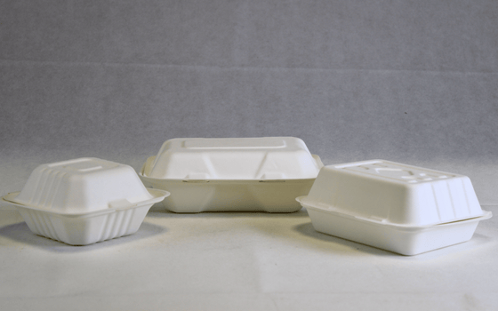 Bagasse Food Boxes