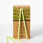 Lime Green Stripe Smoothie Paper Straws - 210mm