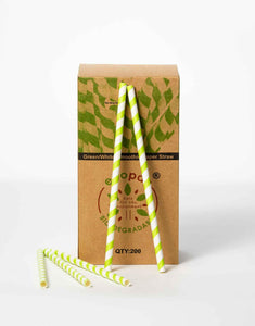 Lime Green Stripe Smoothie Paper Straws - 210mm.